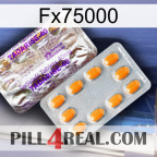 Fx75000 new12